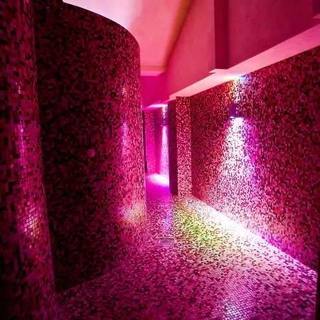 فندق Palace San Michele 4*