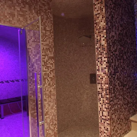 Hotel Palace San Michele 4*